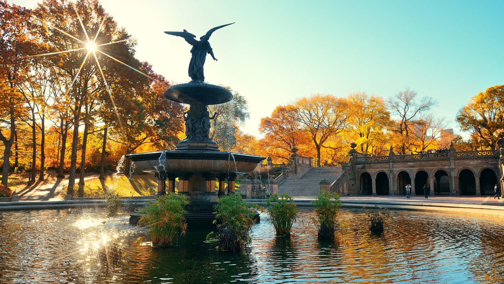 Fall Activities in Central Park - Nowaday Vintage Car Tours NYC